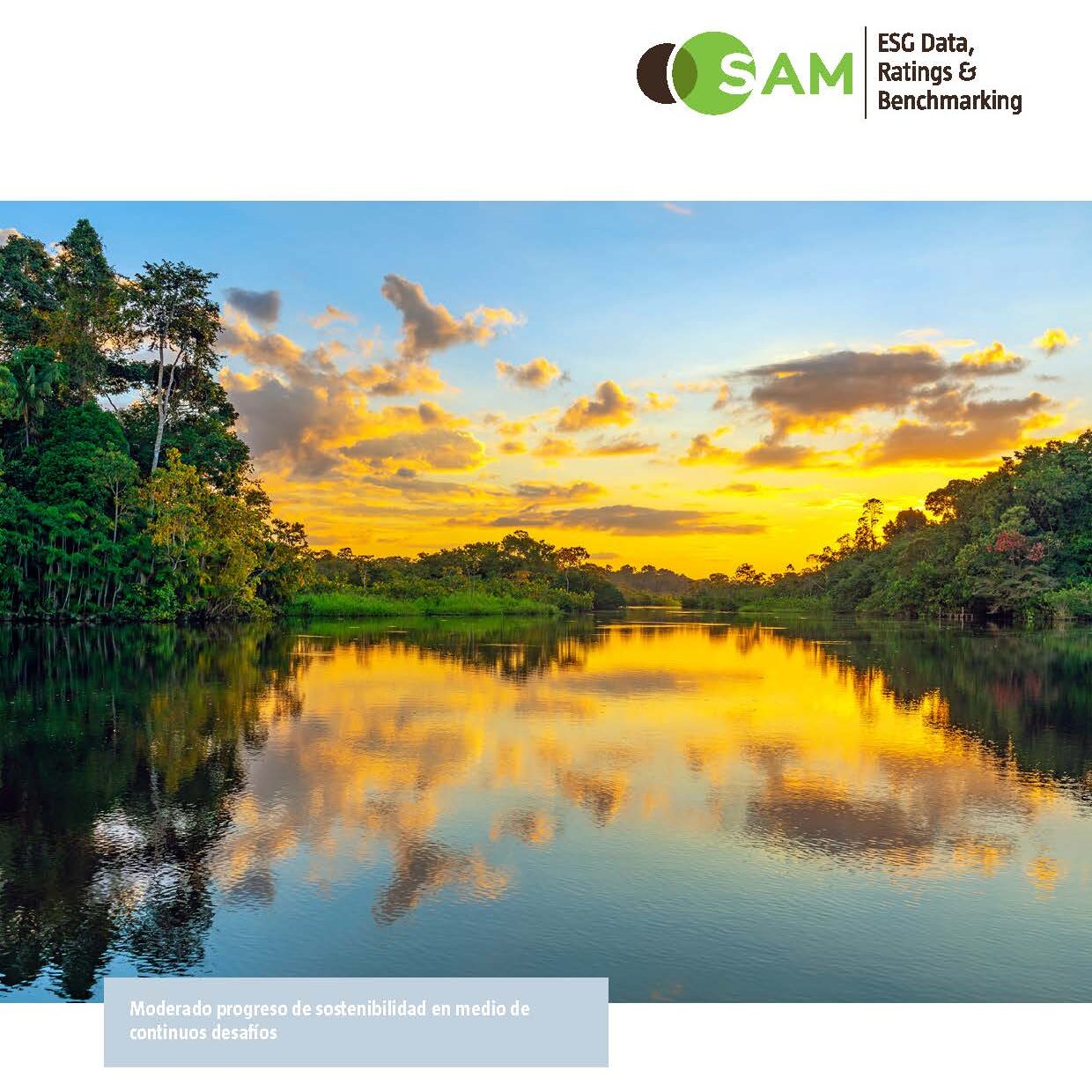 SAM corporate Sustainability Assessment. Informe de progreso de América Latina