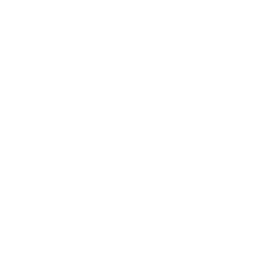 14.-Amadeus