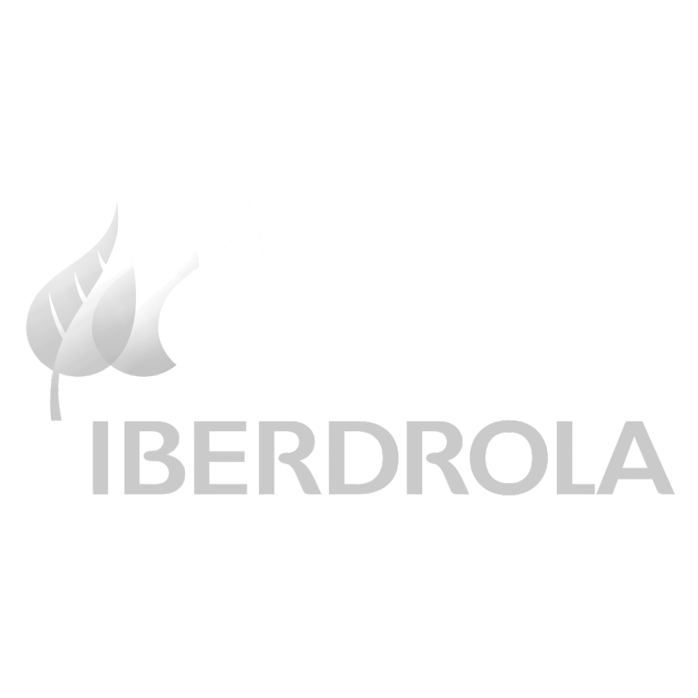 40.-Iberdrola