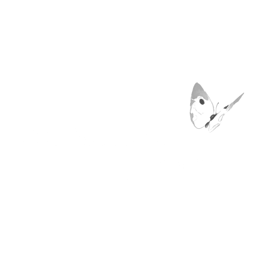 49.-GasNaturalFenosa