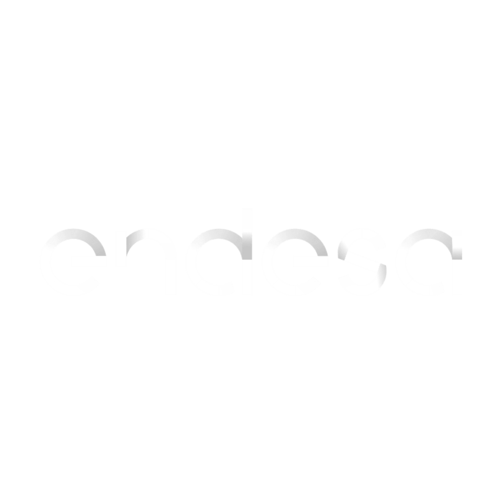 8.-Endesa