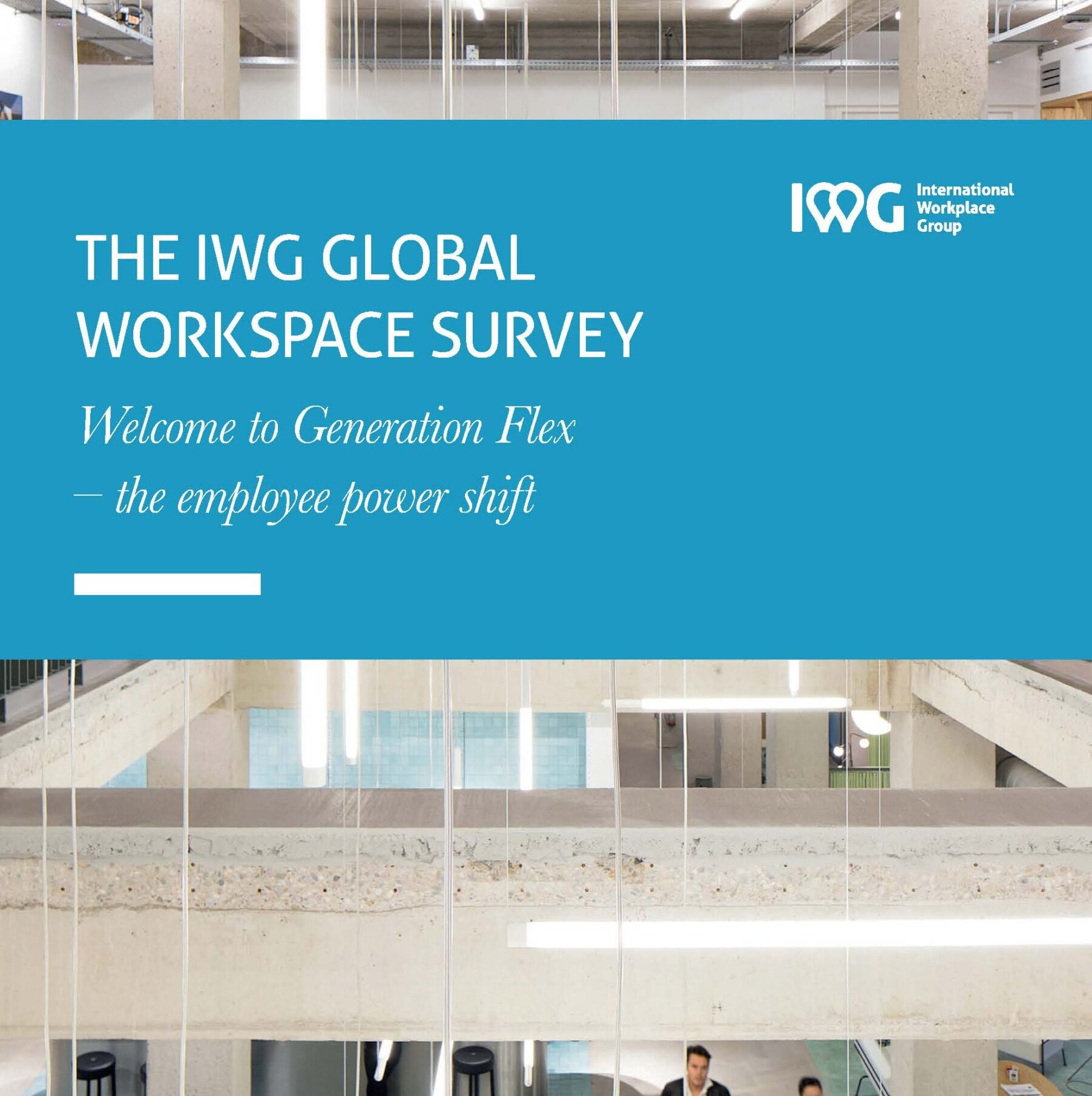 The IWG Global Workspace Survey