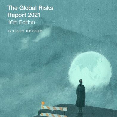 Global Risks Perception Survey 2020 Results