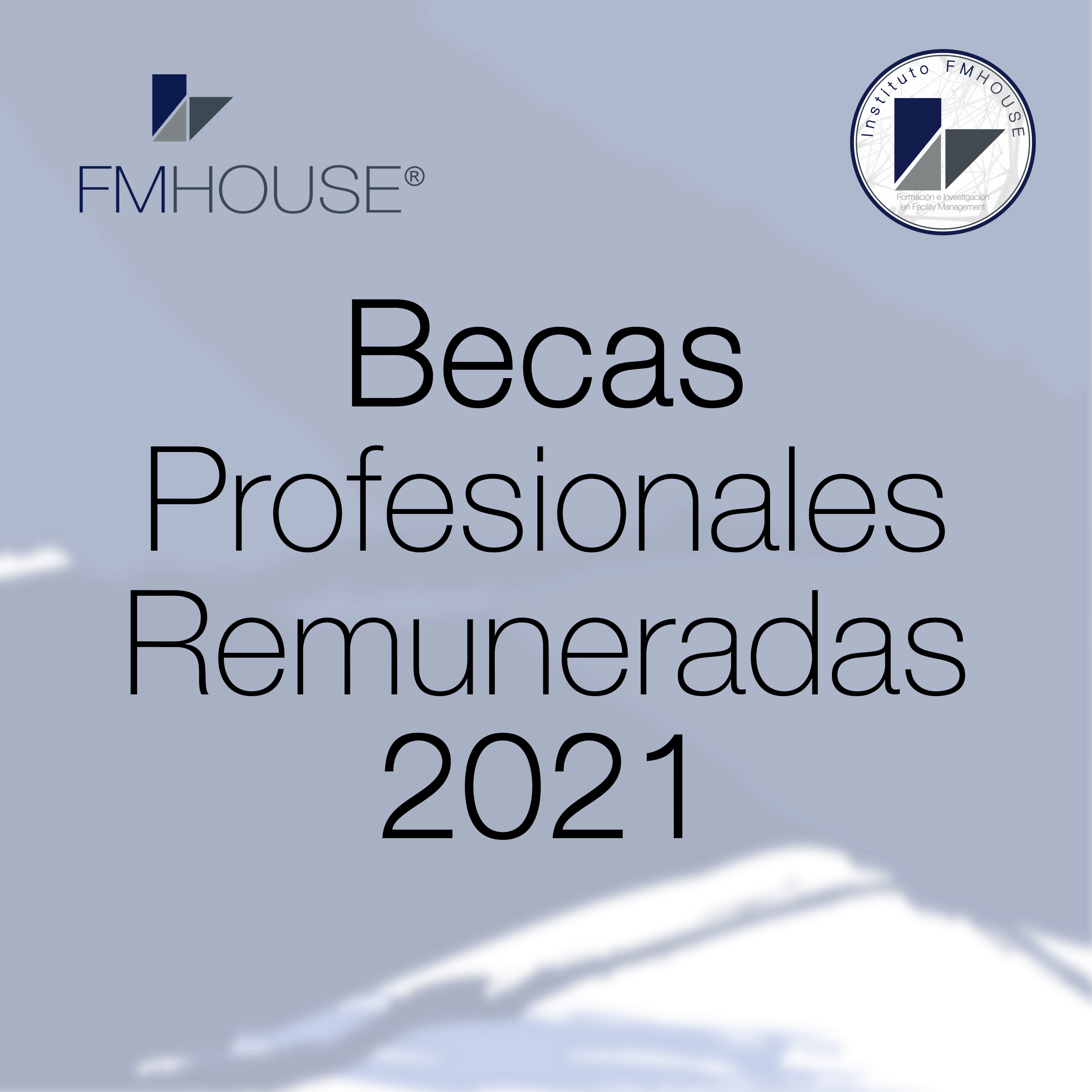 Becas Profesionales Remuneradas 2021