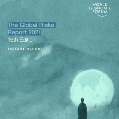 The Global Risks Report 2021