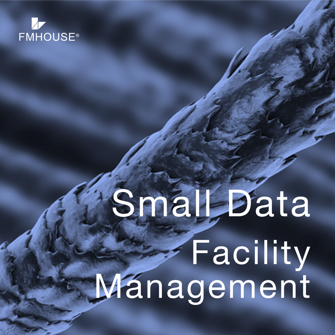 Small Data Facility Management